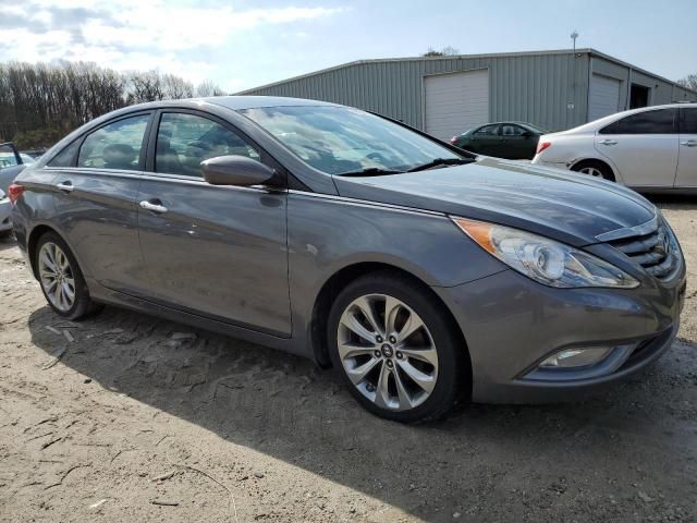 2013 Hyundai Sonata SE