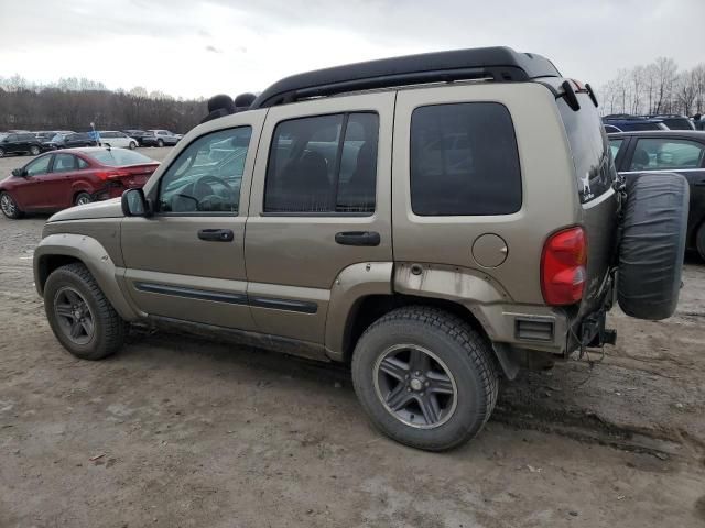 2004 Jeep Liberty Renegade