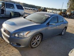 Salvage cars for sale at Harleyville, SC auction: 2011 Nissan Maxima S