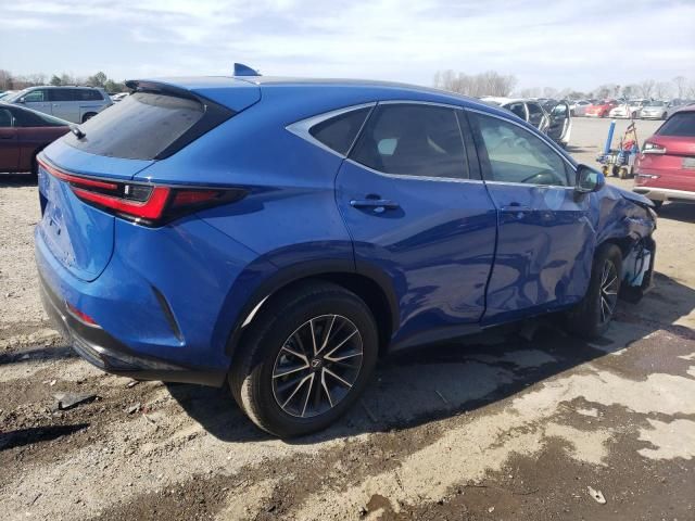 2024 Lexus NX 350 Base