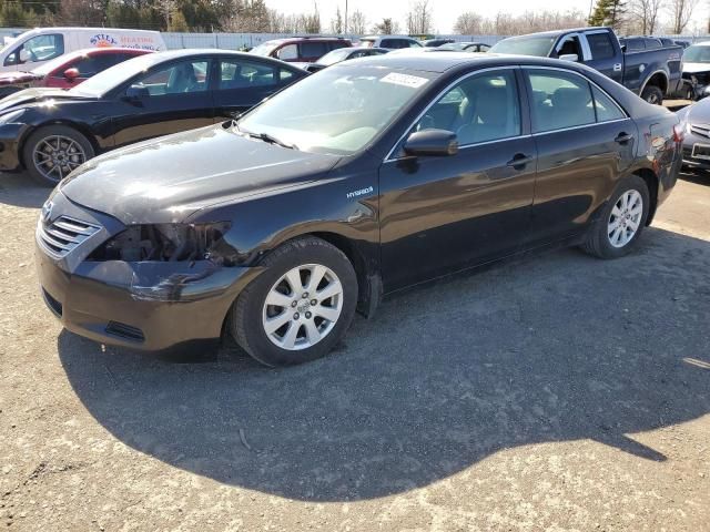 2009 Toyota Camry Hybrid