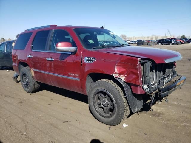 2010 Cadillac Escalade Premium