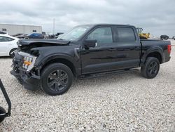 Salvage cars for sale at New Braunfels, TX auction: 2023 Ford F150 Supercrew