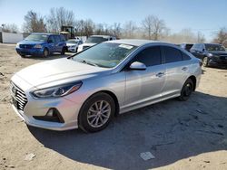 Salvage cars for sale at Baltimore, MD auction: 2019 Hyundai Sonata SE