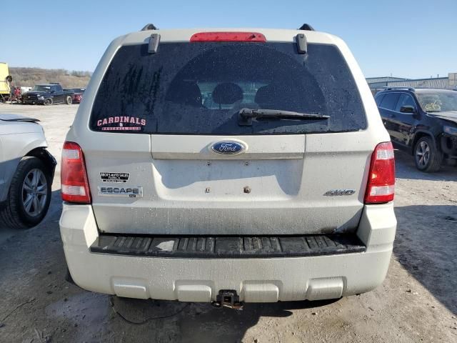 2008 Ford Escape XLT