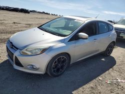 Salvage cars for sale at Earlington, KY auction: 2013 Ford Focus SE