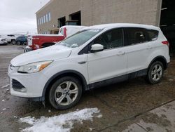 Vehiculos salvage en venta de Copart Littleton, CO: 2013 Ford Escape SE