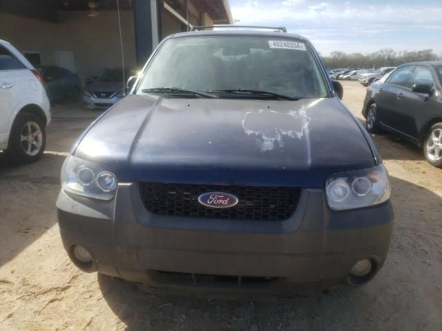 2007 Ford Escape XLT