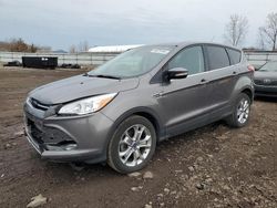 Salvage cars for sale from Copart Columbia Station, OH: 2013 Ford Escape SEL