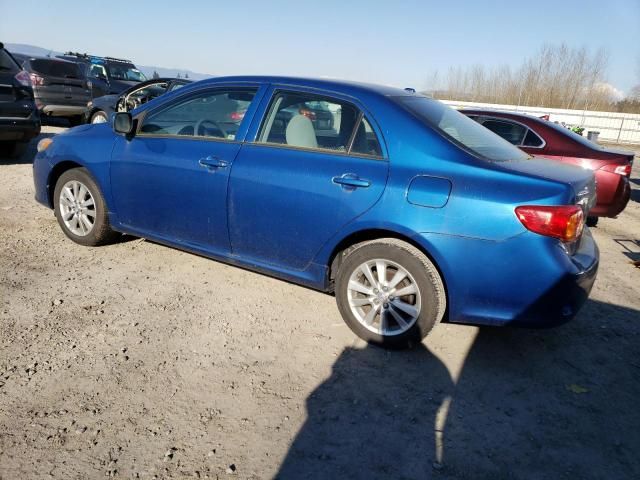 2010 Toyota Corolla Base