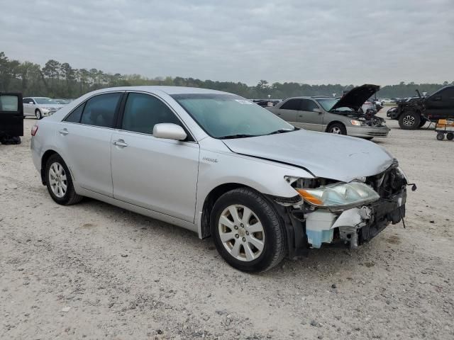 2009 Toyota Camry Hybrid