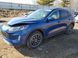 Salvage cars for sale at Davison, MI auction: 2022 Ford Escape SEL