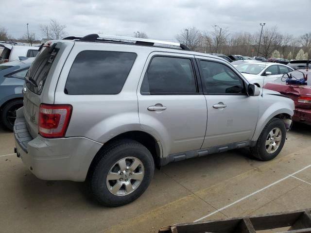 2009 Ford Escape Limited