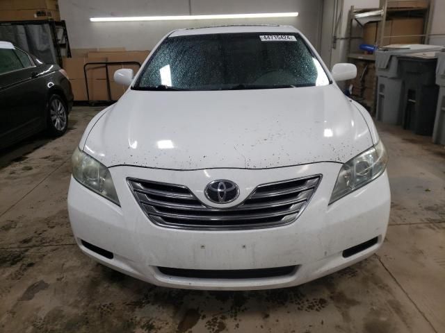 2009 Toyota Camry Hybrid