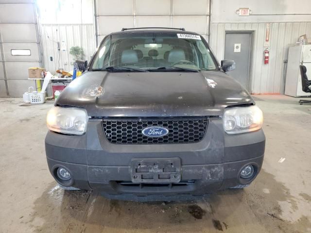 2005 Ford Escape XLT