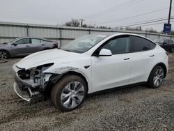 Vehiculos salvage en venta de Copart Hillsborough, NJ: 2023 Tesla Model Y