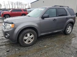 Salvage cars for sale at Spartanburg, SC auction: 2012 Ford Escape XLT