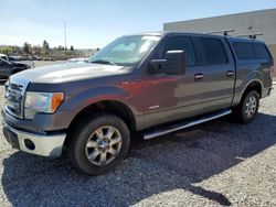 Salvage cars for sale at Mentone, CA auction: 2013 Ford F150 Supercrew