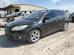 Salvage cars for sale at Temple, TX auction: 2012 Ford Focus SE