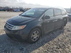 Honda salvage cars for sale: 2011 Honda Odyssey EXL