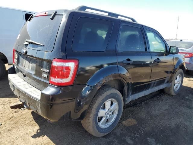 2012 Ford Escape XLT