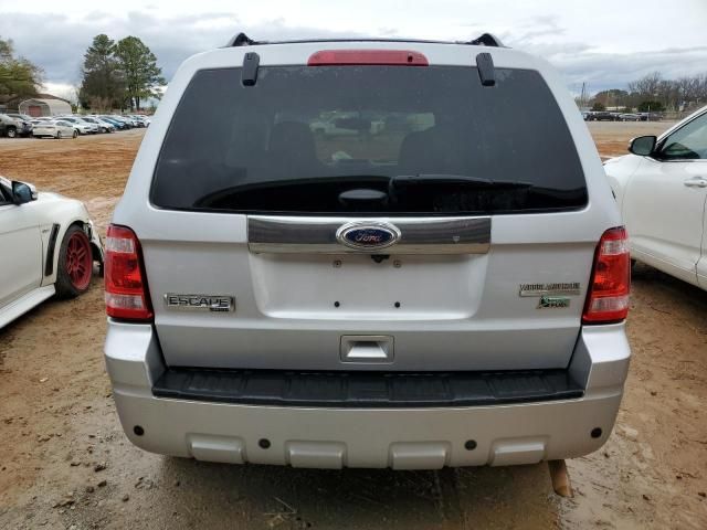 2012 Ford Escape Limited