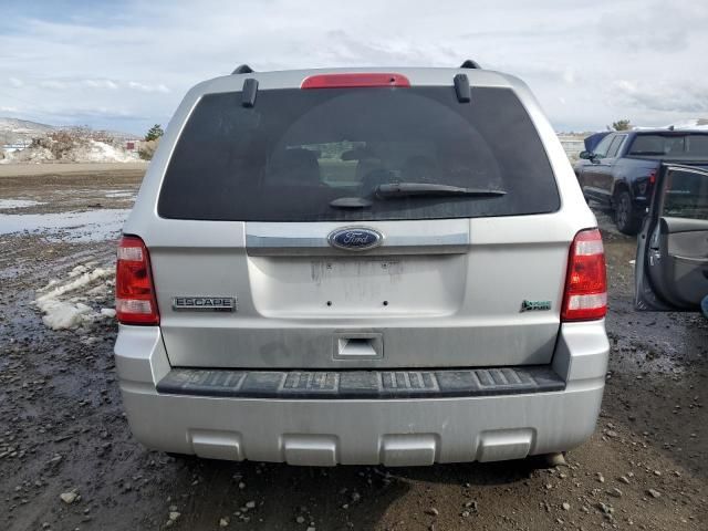 2011 Ford Escape Limited