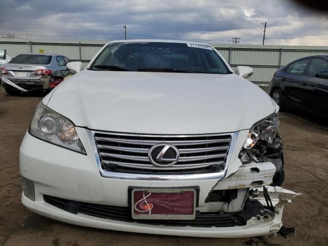 2010 Lexus ES 350