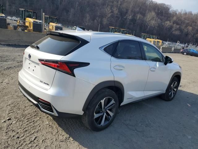 2020 Lexus NX 300H