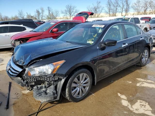 2011 Honda Accord EXL