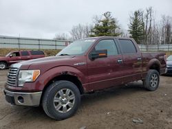 Salvage trucks for sale at Davison, MI auction: 2010 Ford F150 Supercrew