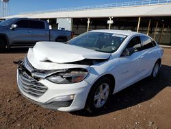 Salvage cars for sale from Copart Phoenix, AZ: 2019 Chevrolet Malibu LS