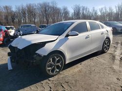 Salvage cars for sale at Finksburg, MD auction: 2021 KIA Forte FE