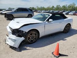 Salvage cars for sale at Houston, TX auction: 2019 Ford Mustang