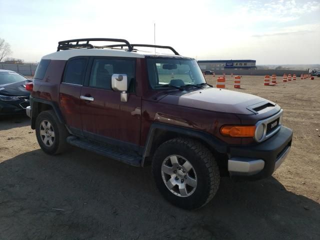 2009 Toyota FJ Cruiser