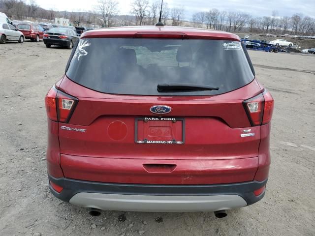 2019 Ford Escape SE