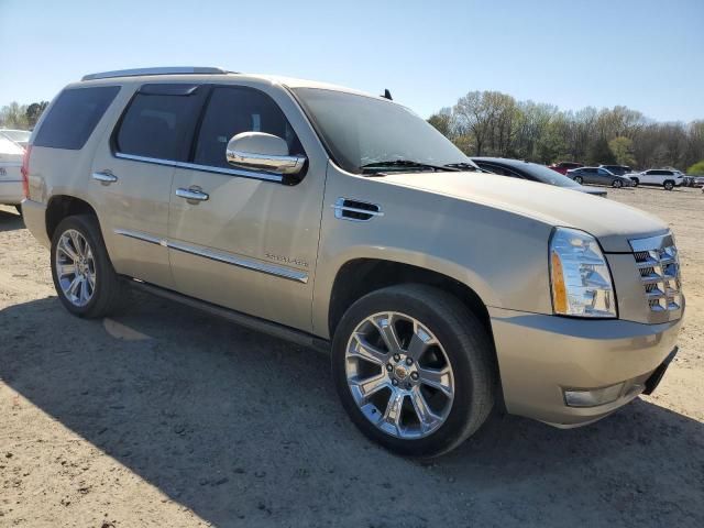 2010 Cadillac Escalade Premium