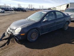 Salvage cars for sale from Copart Rocky View County, AB: 2004 Dodge Neon SX 2.0