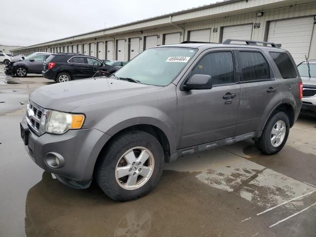 2011 Ford Escape XLT