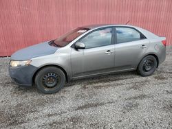 Salvage cars for sale from Copart London, ON: 2010 KIA Forte EX