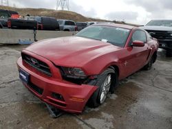 Ford Mustang salvage cars for sale: 2013 Ford Mustang