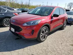 Hail Damaged Cars for sale at auction: 2022 Ford Escape SE