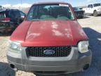 2005 Ford Escape XLS