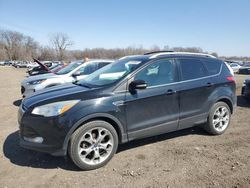 Vehiculos salvage en venta de Copart Des Moines, IA: 2014 Ford Escape Titanium