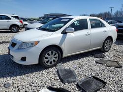 Toyota salvage cars for sale: 2010 Toyota Corolla Base