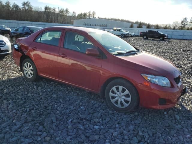 2009 Toyota Corolla Base