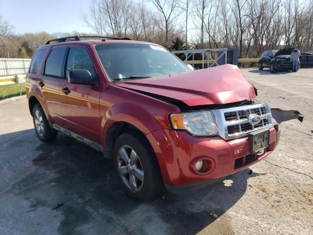 2012 Ford Escape XLT