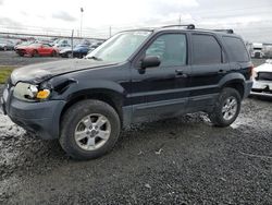 Ford Escape XLT salvage cars for sale: 2005 Ford Escape XLT