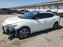 Salvage cars for sale from Copart Louisville, KY: 2017 Nissan Maxima 3.5S