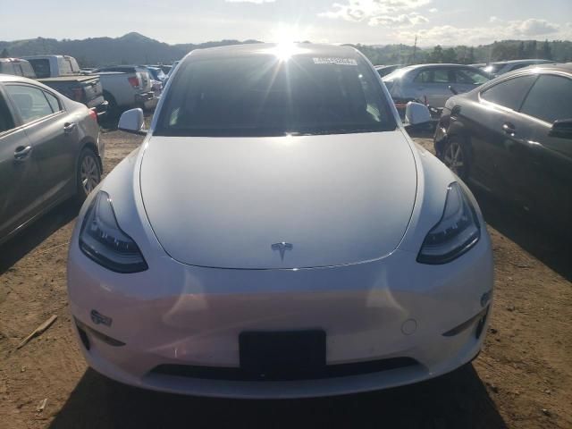 2020 Tesla Model Y